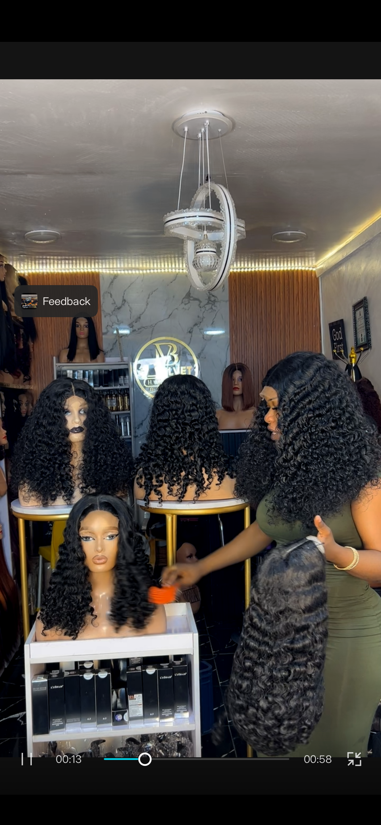AFFORDABLE BURMESE CURLS