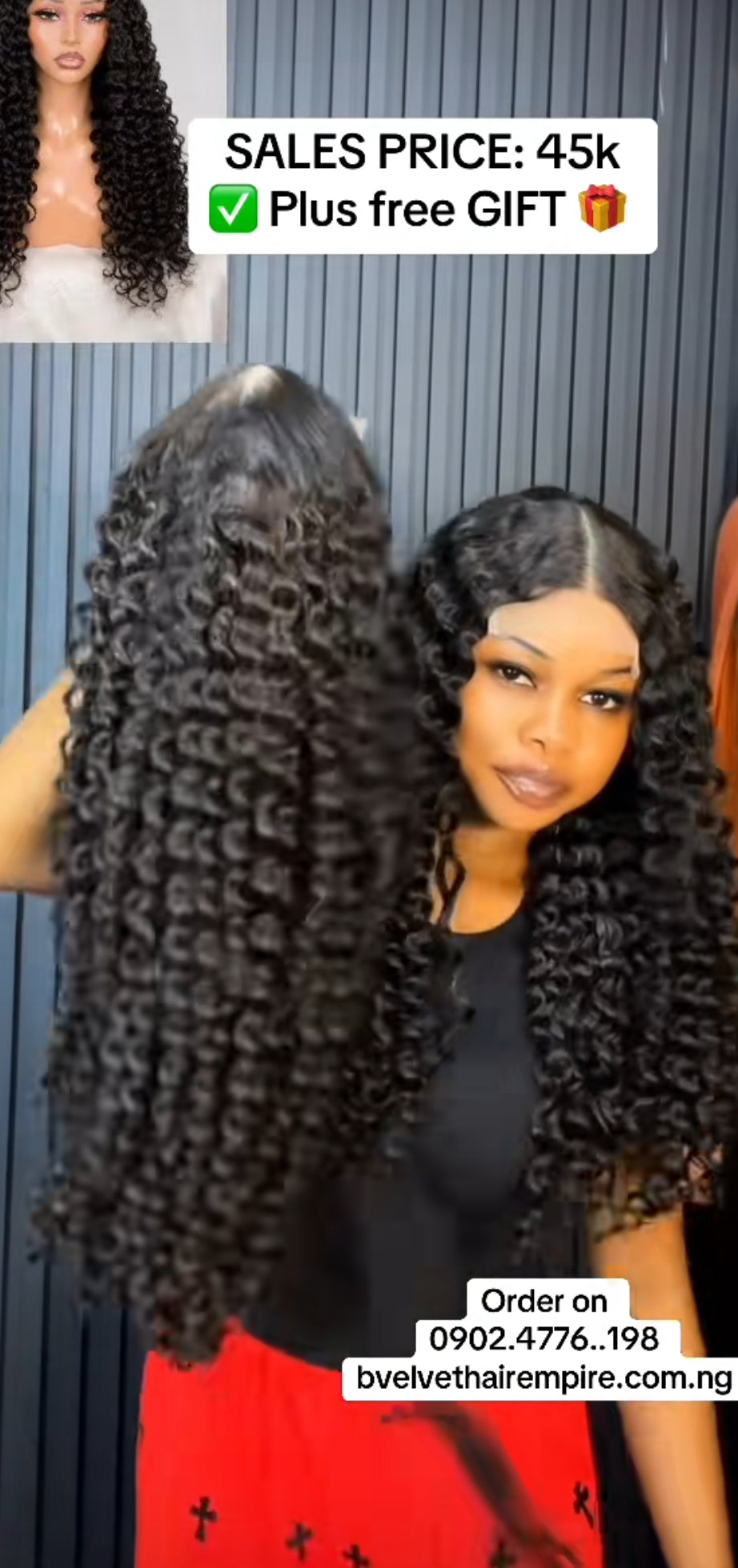 BURMESE CURL